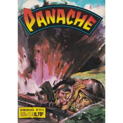 Panache (214) - Traitement de Choc