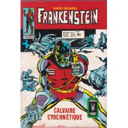 Frankenstein (10) - Calvaire cybernétique