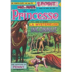 Princesse (68) - La mystérieuse inconnue