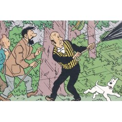 Tintin - Q8 et concours Tintin