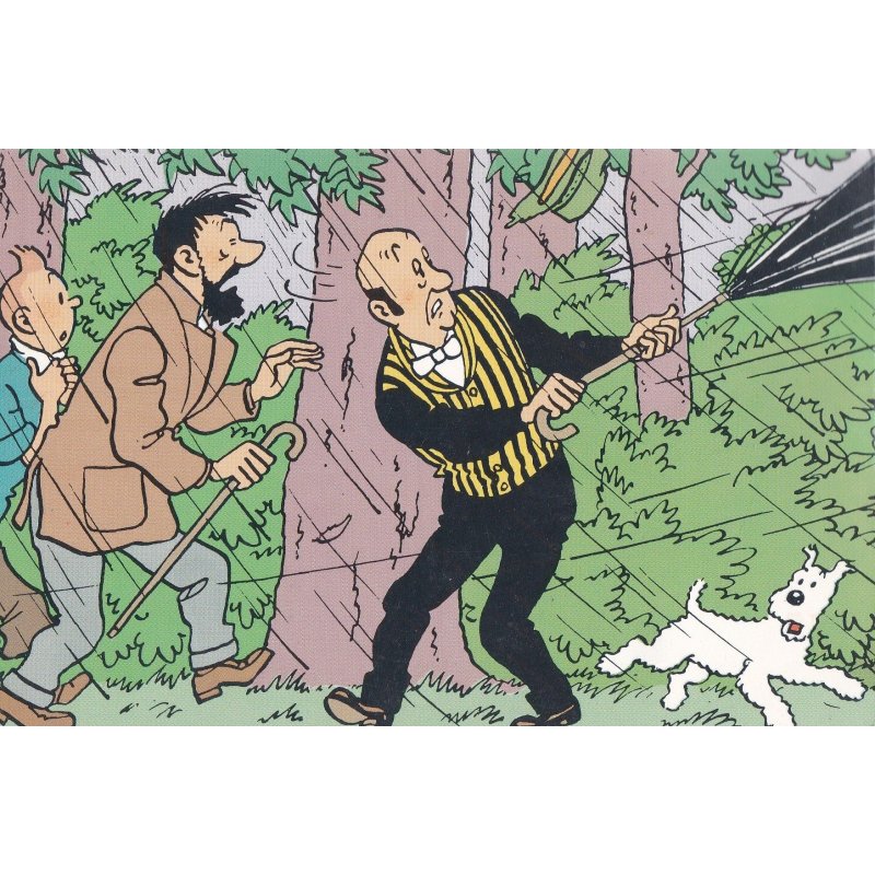 Tintin - Q8 et concours Tintin