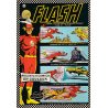 Flash (65) - Vols magiques