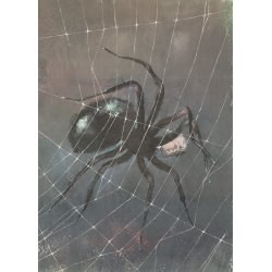 Edmund Bell (2) - La nuit de l'araignée
