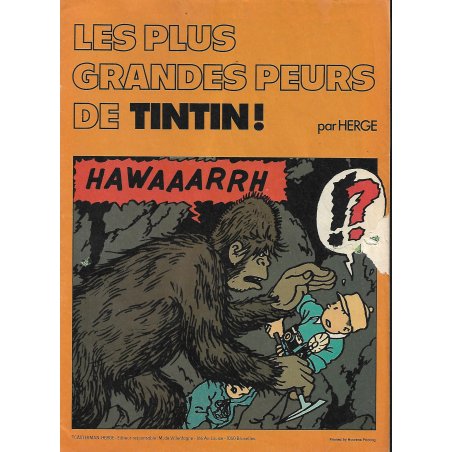 Tintin (HS) - Les grandes peurs de Tintin