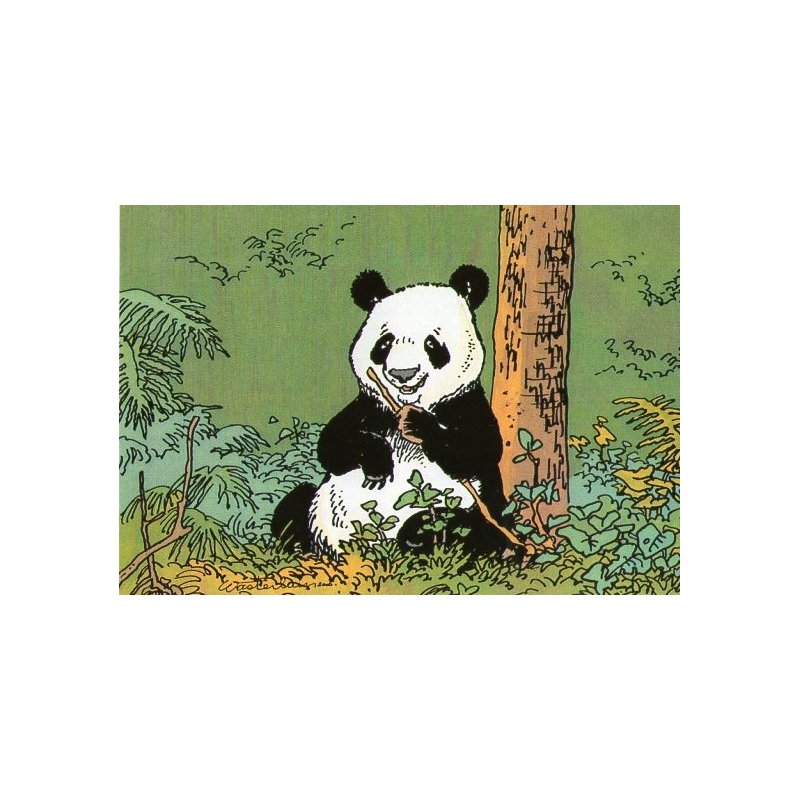 1-jeannette-pointu-panda